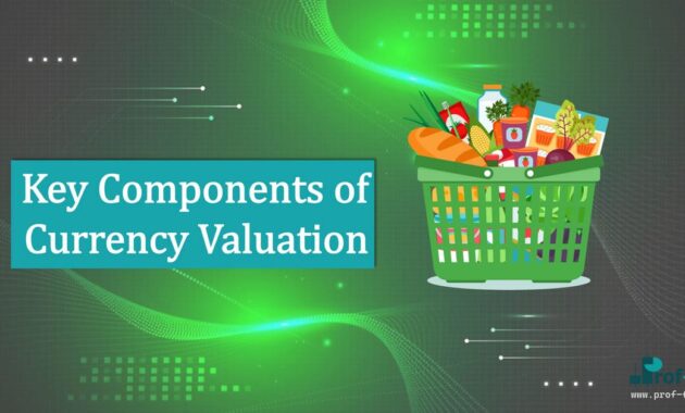 Key Components of Currency Valuation