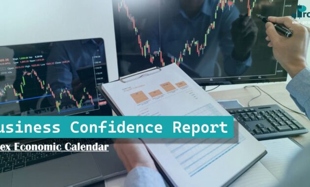 Business Confidence Report