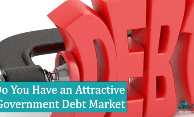 Do You Have an Attractive Government Debt Market