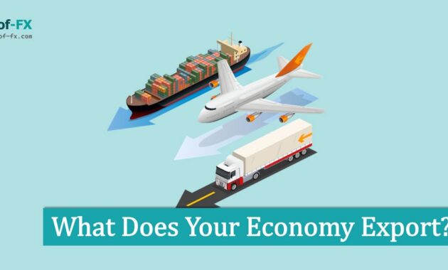 What Does Your Economy Export