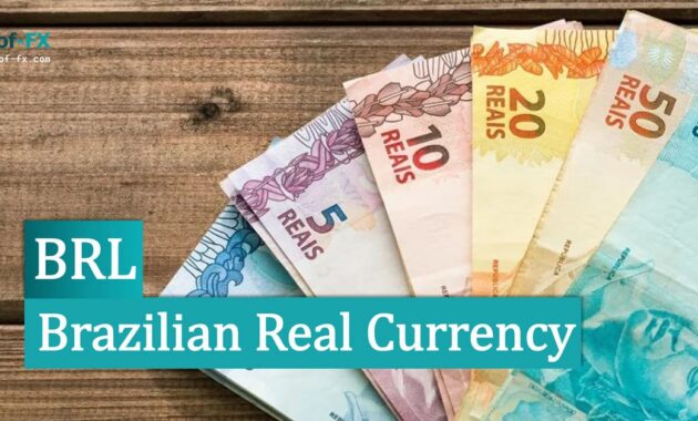 Brazilian Real Currency