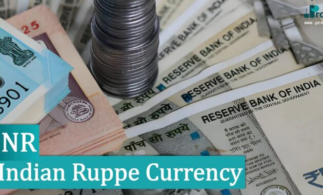 Indian Ruppe Currency