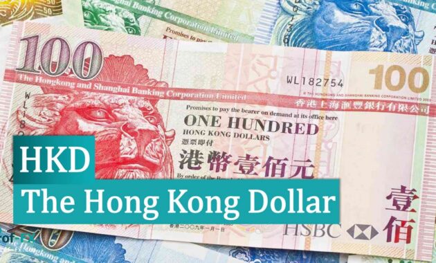The Hong Kong Dollar