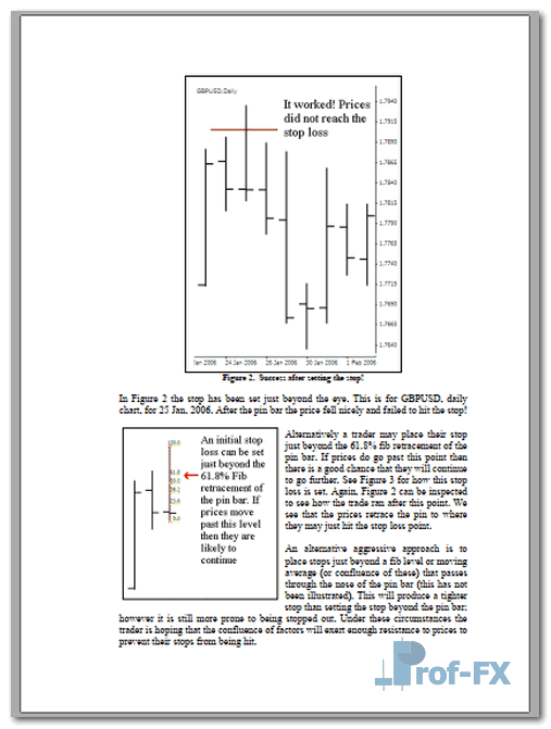 Pin Bars Advanced.pdf