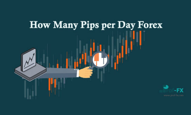 How Many Pips per Day Forex How Many Pips Per Day in forex