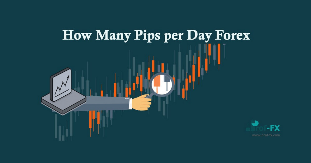 How Many Pips Per Day in forex