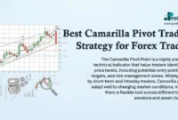 Best Camarilla Pivot Trading Strategy for Forex Traders