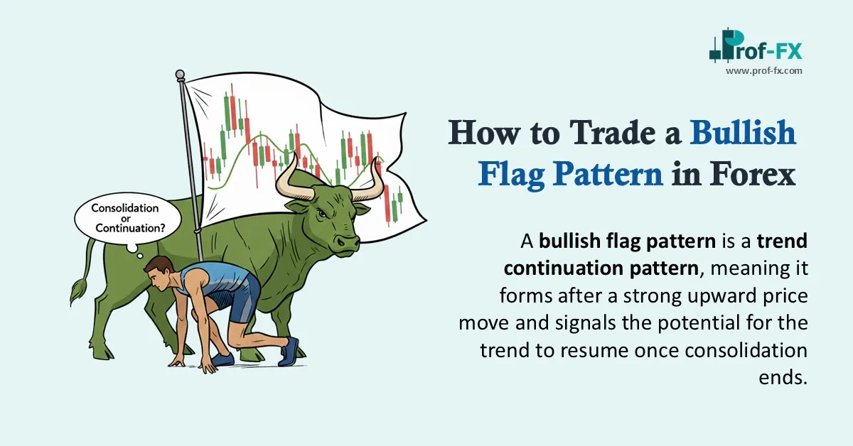How to Trade a Bullish Flag Pattern in Forex
