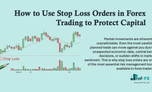 How to Use Stop Loss Orders in Forex Trading to Protect Capital