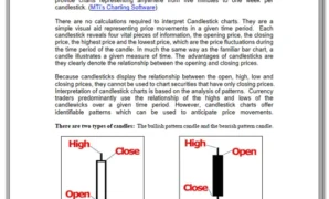 10 Keys to Success FX pdf