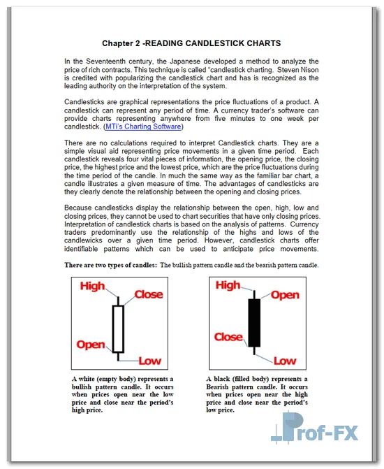 10 Keys to Success FX pdf