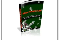 Best Forex Plan pdf