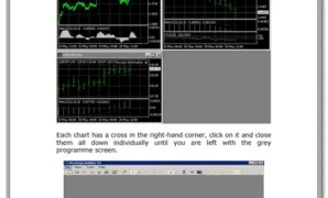 FX Wizard forex pdf