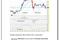 Microtrading-the-1-Minute-Chart2 Microtrading the 1 Minute Chart pdf
