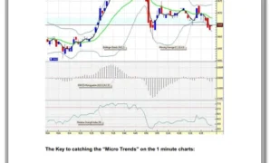 Microtrading the 1 Minute Chart pdf