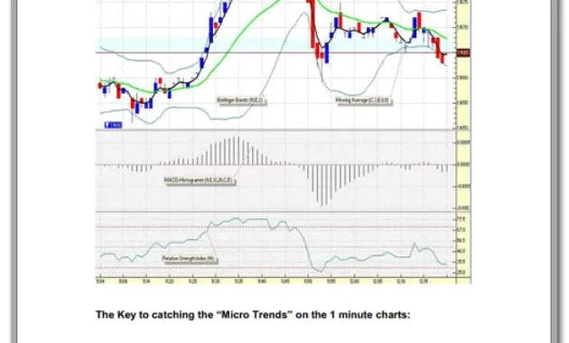Microtrading the 1 Minute Chart pdf