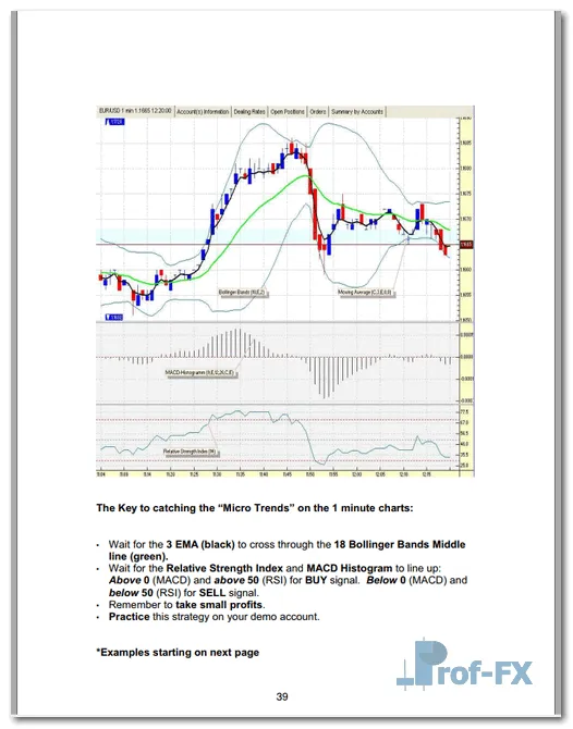 Microtrading the 1 Minute Chart pdf