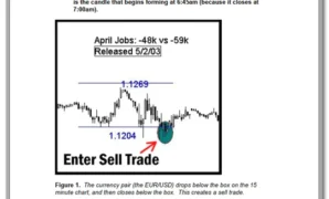 Trading The NFP Report pdf