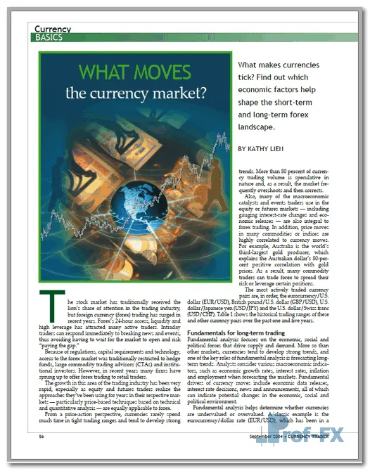 What Moves The Currency Market pdf